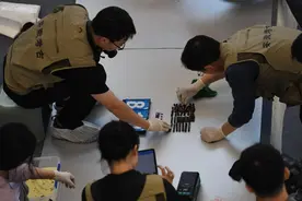 安徽淮南武王墩一号墓田野考古发掘结束 出土文物过万件图片