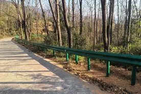 赣州大余：推进农村公路安防建设 护航群众出行图片