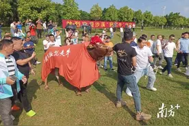 珠三角观察丨“冠军牛”和“领头羊”背后的珠三角篮球运动图片