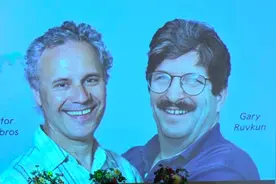 可能是有史以来最躺平的诺奖得主：极限死线挣扎，流浪喝酒种树图片