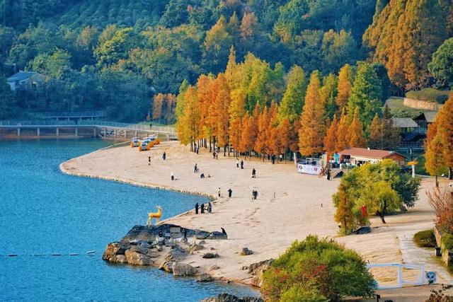 金华山是什么样的山？这群学者用书作答