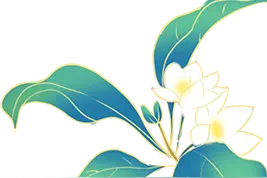 十一玩兴山，优惠大汇集！图片