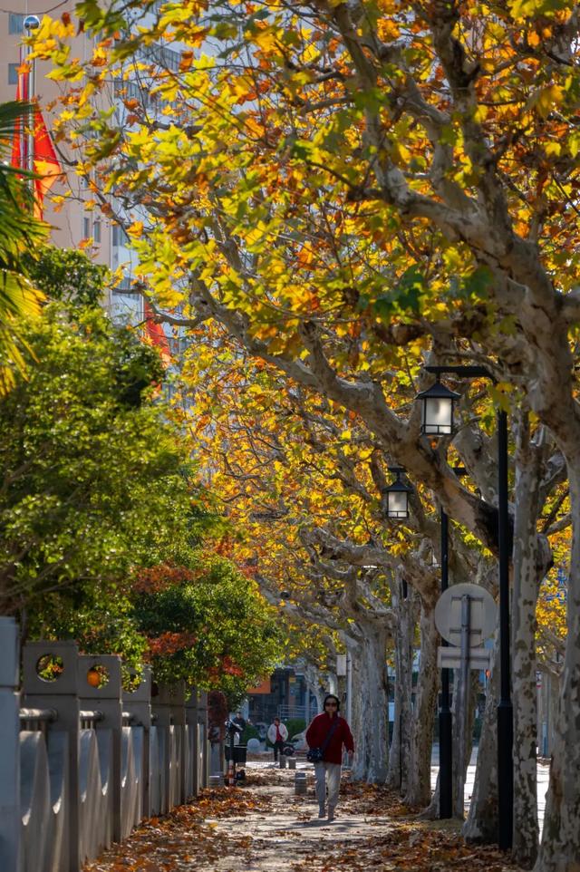 还有一周，快去打卡