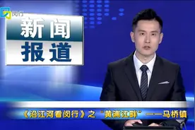 《沿江河看闵行》之“黄浦江畔”——马桥镇视频封面