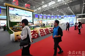 走！这两天去合肥滨湖大饱口福图片