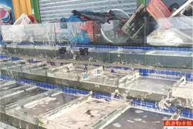 广东本次海水倒灌现象今起将消失图片