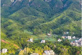 打造口腔健康产业综合发展高地图片