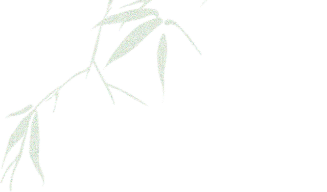 推开南开的窗，你会看到——