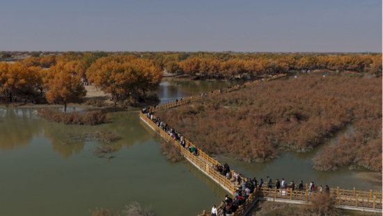 洛浦县第五届胡杨季活动 生态文旅融合绘就富民兴县新图景