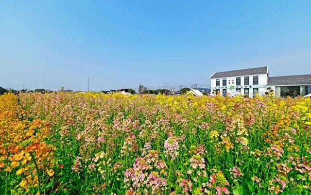 免费！火热！很多无锡人正在赶去