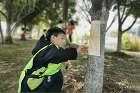 植一缕“新绿” 新华师幼爱绿护绿图片