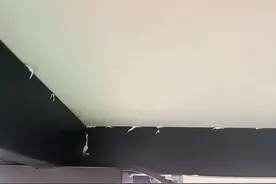 上海一网红火锅店桌子背面涂蟑螂药致男童误食中毒！多方回应图片