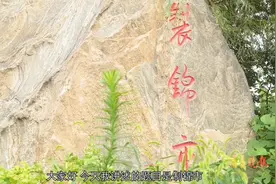 口述济南老地名|制锦市街：名源棘针市，曾是济南最早的高新区图片