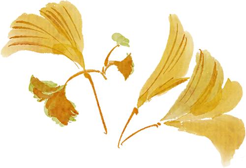 北京冻冻冻冻，BNUer动动动动！