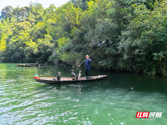 张家界宝峰湖：秋高气爽好时节，游人乐享山水间