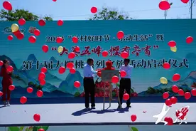 小樱桃成了大产业，济南市长清区大樱桃种植协会成立图片