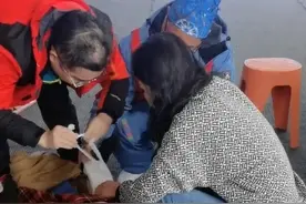 第一次滑雪，广东援疆医生顺手救了一位骨折女孩图片