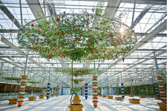 金山二日游，就按这个线路来