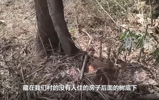 “74岁老太杀害73岁老太并藏尸”案今日开庭	，被害人女儿：因柴火归属起争执，当地：案发后已介入处理