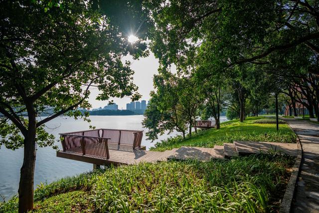 从科学之城到文艺之心，一座松山湖城市地标的周年回响