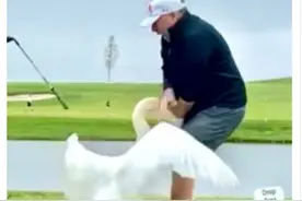 特朗普：打高尔夫是危险运动，我的朋友被咬了图片