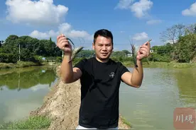 四川新农人丨陈鑫：让罗氏沼虾更有“泸州味道”图片