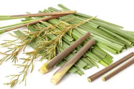 风、寒、湿邪的天敌，打一中药，它是？图片