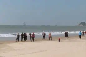 海陵：天气回暖 “候鸟游客”大幅减少图片