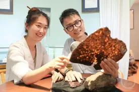 百姓记录｜这对夫妻收藏的 都是来自太空的宝贝图片