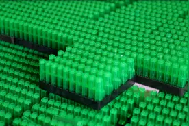 年产值将破1亿元！岑巩这一产品远销印尼、印度、智利……图片