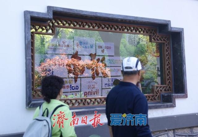 一年四季 泉在济南丨西更道街春意浓 游客漫步石板路打卡老巷