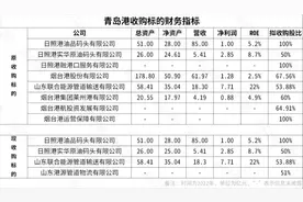 酝酿一年，“并购六条”后首单获受理！青岛港94.4亿并购加速落地图片