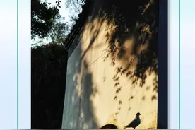 早参｜广州政府透明度再获全国第一；“五一”广州出行预测来了图片