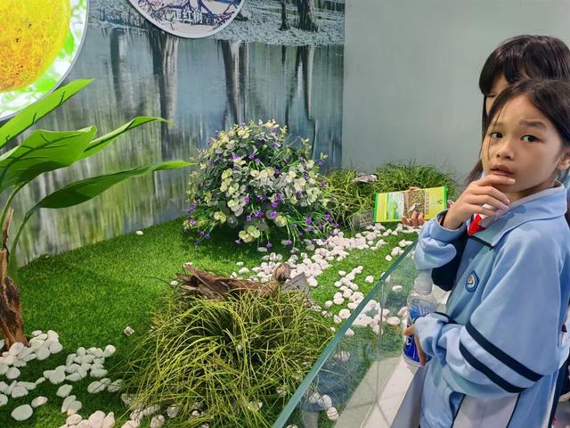 观鸟东寨港· 把一片红树林带回家