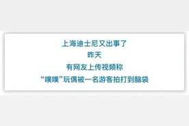 事发上海迪士尼！演职人员疼到倒地，网友愤怒：不是第一次了图片