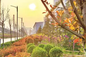 记者走基层 | “双城”记——“一体两翼新邯钢”绿色转型记事（一）图片