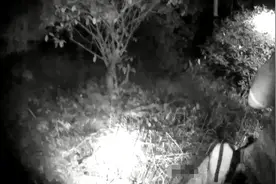 干这事，海宁两名男子在小树林被抓获！图片