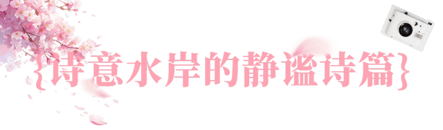 粉色花海，已开遍龙华