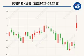 网宿科技上半年增利未增收 市场热议的液冷业务表现如何？图片