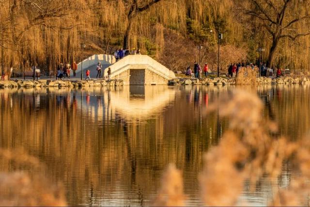品，乾隆笔下的御园冬景