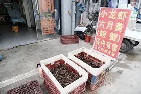 武汉“早春档”小龙虾每斤低至17元，商户：受气温和需求量影响，接下来会一天一个价图片