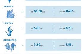 隆平高科跻身全球种业前八 裕丰303跻身全国玉米品种推广面积第一位图片