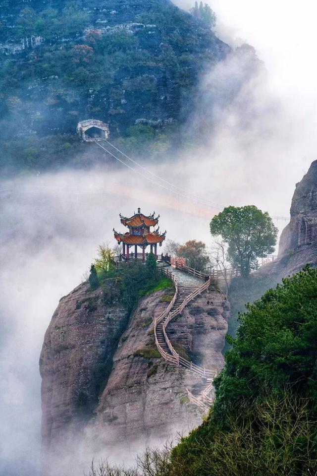 重阳，登高去