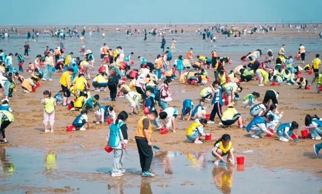 这个五一，去刘家湾赶一场“潮”——万亩滩涂已备好，只差一个挽起裤脚的你