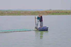 区县新气象｜水质清了 螃蟹肥了 品牌响了——梁子湖“六月黄”俏销全国图片