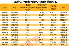 深夜！美股大涨，中概股狂拉！社保基金最新重仓股名单出炉图片