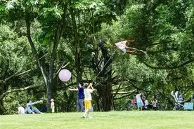 粽香伴童趣，文明满绿城！这个假期，市民游客在南宁各景区景点欢乐畅游图片