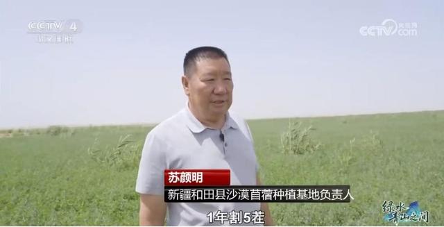 中国治沙开挂：光伏锁沙 苜蓿生金