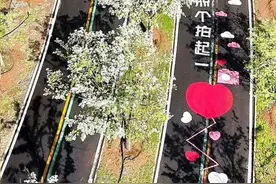 定格山东｜暮春赏流苏，青州王府春日旅游季“花”式上新图片