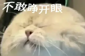 “大家千万不要被大学生骗了！他们其实只有在回学校的路上是难过的！”图片